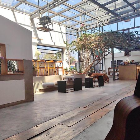 Dali Loft Travelling With Hostel Екстериор снимка