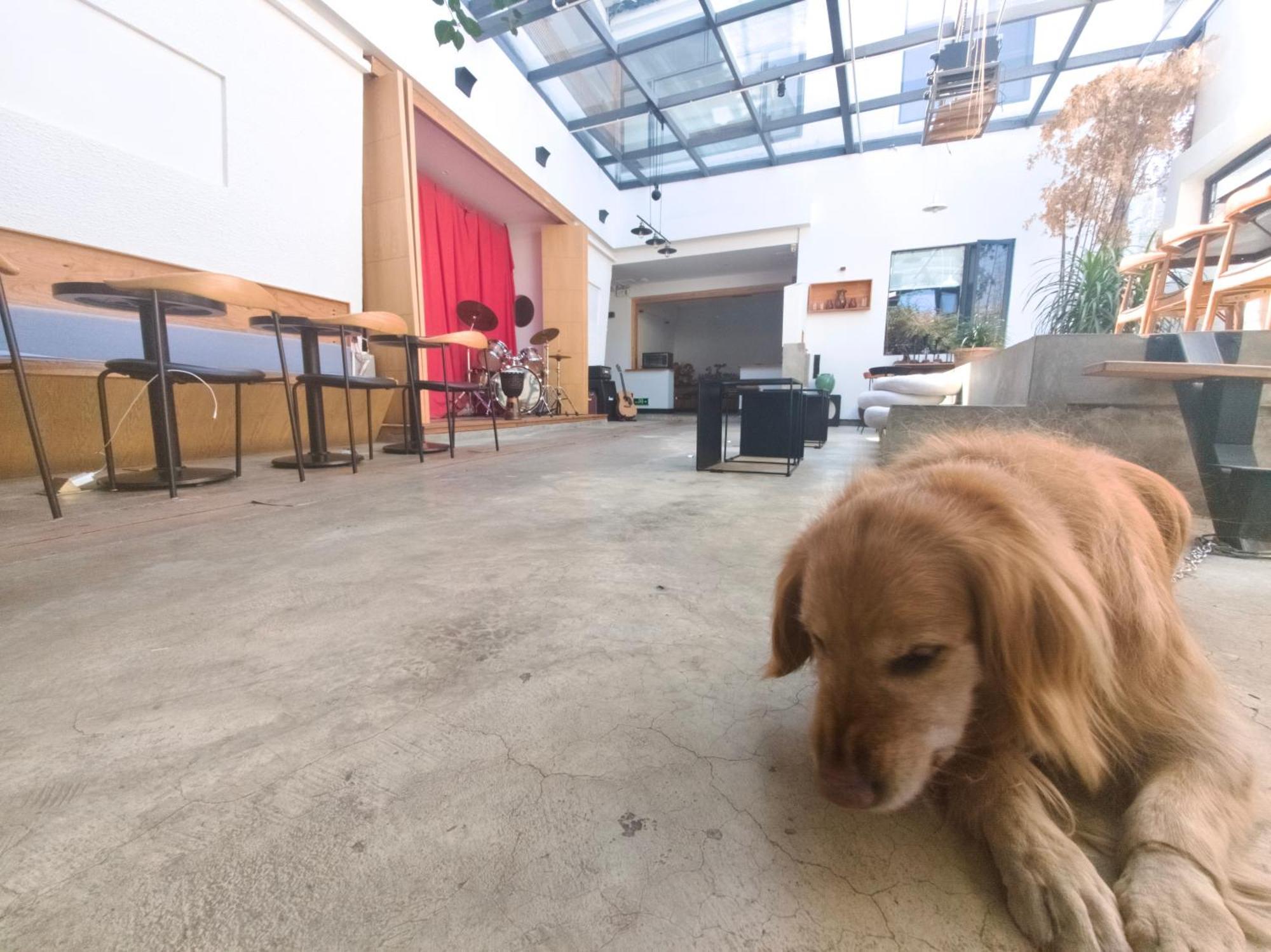 Dali Loft Travelling With Hostel Екстериор снимка